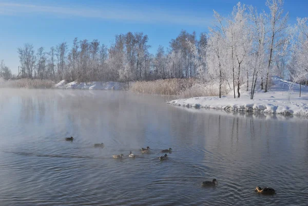 Omsk region, Siberian, Russia — Stock Photo, Image