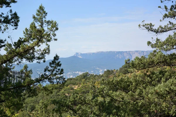 Vista della costa di Yalta dall'Orto Botanico Nikitsky — Foto Stock