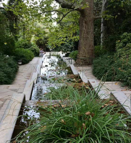 Belos lugares do Jardim Botânico Nikitsky — Fotografia de Stock