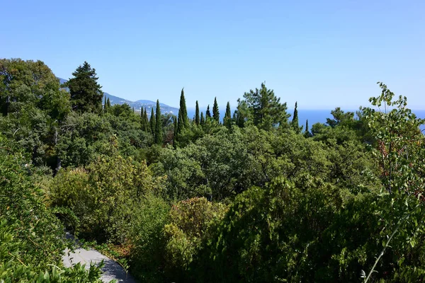 Gyönyörű helyen, a Livadia Park — Stock Fotó