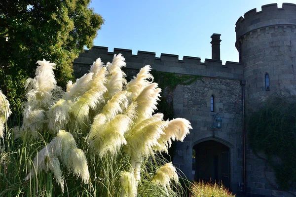 Park Vorontsov Sarayı çevresinde'güzel yerleri