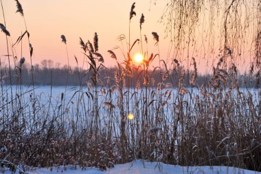 Akşamları Irtysh Nehri, Omsk Bölgesi, Sibirya, Rusya       