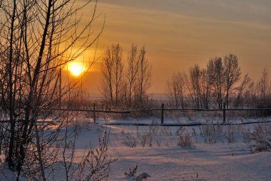 Sibirya Köyü, Omsk region, Rusya Federasyonu