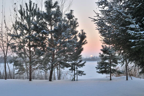 Wieczór nad rzeką Irtysz, obwód omski, Syberia, Rosja — Zdjęcie stockowe