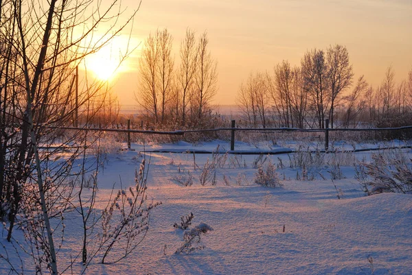 시베리아 마을, 옴스크 지역, 러시아 — 스톡 사진