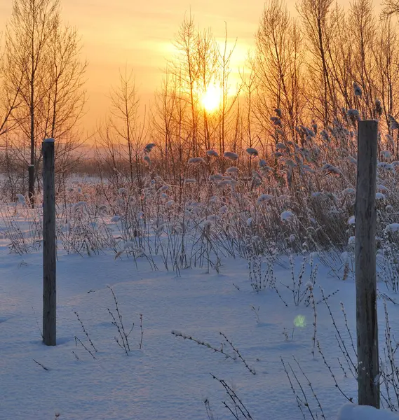 Aldeia siberiana, região de Omsk, Rússia — Fotografia de Stock