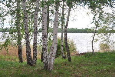 Bahar yüksek su irtiş Nehri üzerinde
