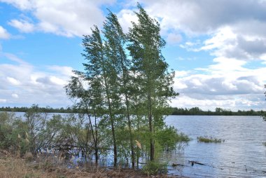 Bahar yüksek su irtiş Nehri üzerinde
