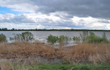 Bahar yüksek su irtiş Nehri üzerinde