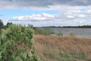 Bahar yüksek su irtiş Nehri üzerinde