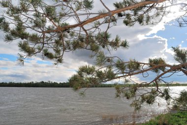 Bahar yüksek su irtiş Nehri üzerinde