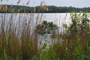 Bahar yüksek su irtiş Nehri üzerinde