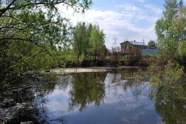 Orman gölet — Stok fotoğraf