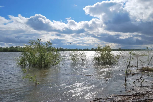 Джерельна Вода Високої Березі Іртиша Омська Область Сибіру Росія — стокове фото