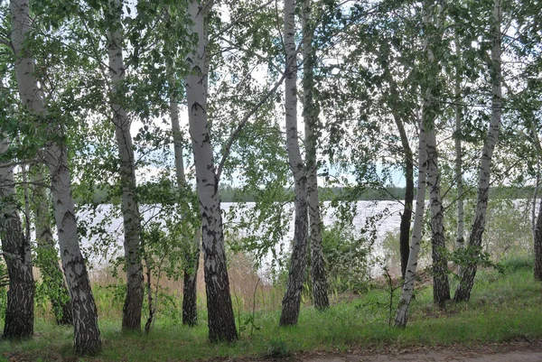 Primavera acqua alta sul fiume Irtysh — Foto Stock