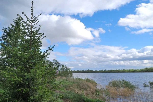 Aguas altas de manantial en el río Irtysh — Foto de Stock