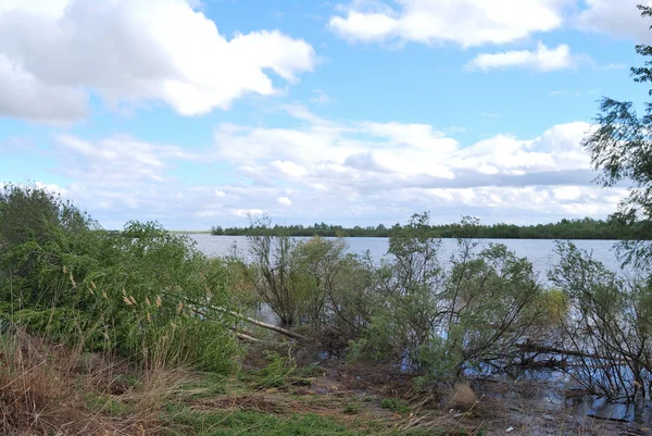 Aguas altas de manantial en el río Irtysh —  Fotos de Stock