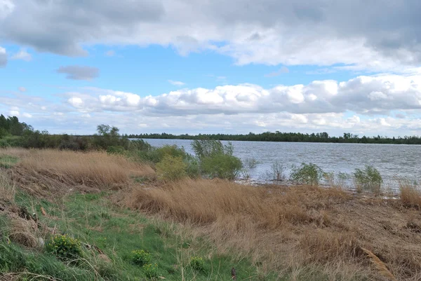 Высокая родниковая вода на Иртыше — стоковое фото