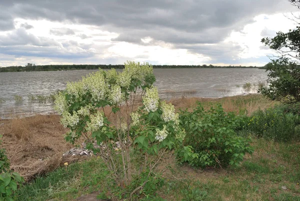 Source des hautes eaux sur la rivière Irtysh — Photo