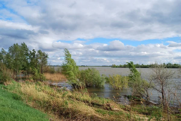 Sprężyna wysokiej wody nad rzeką Irtysz — Zdjęcie stockowe