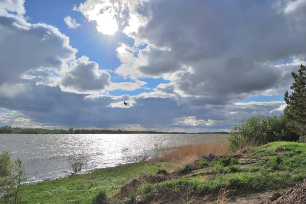 Джерельна вода високої на березі Іртиша — стокове фото