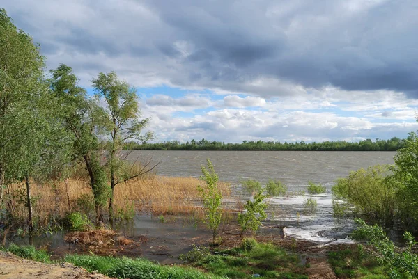 Джерельна вода високої на березі Іртиша — стокове фото