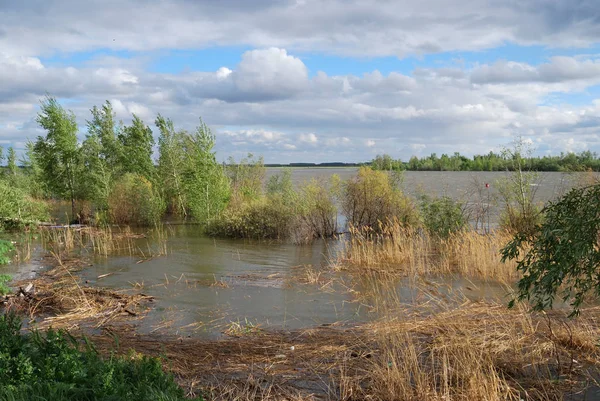 Source des hautes eaux sur la rivière Irtysh — Photo