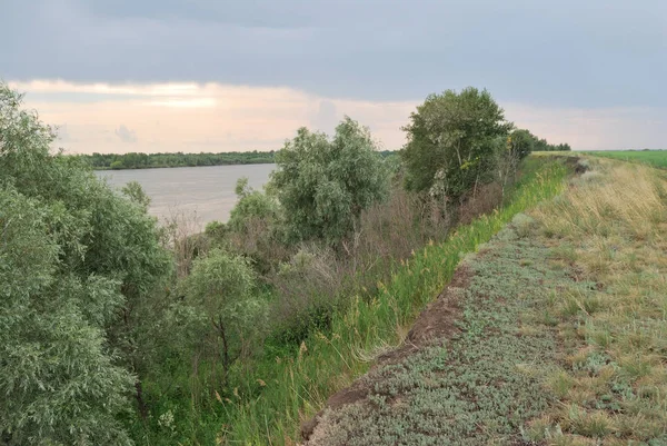 Evening on the Irtysh River, Omsk region, Siberia, Russia — Stock Photo, Image