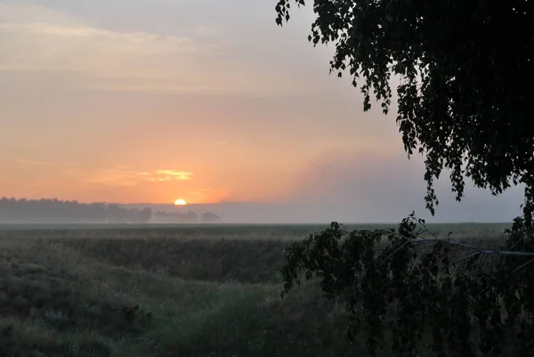 Morgon på fältet — Stockfoto