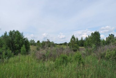 Irtysh Nehri'nin kıyısında