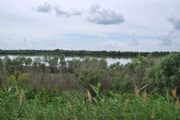 On the banks of the Irtysh River — Stock Photo, Image