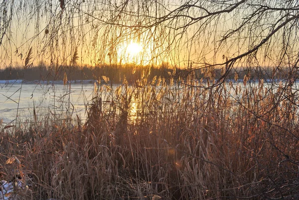 Soirée sur le fleuve Irtych, région d'Omsk, Sibérie, Russie — Photo