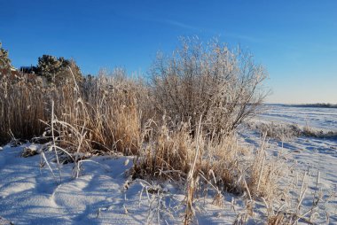 Akşamları Irtysh Nehri, Omsk Bölgesi, Sibirya, Rusya       