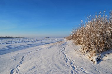Akşamları Irtysh Nehri, Omsk Bölgesi, Sibirya, Rusya       