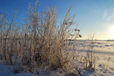 Akşamları Irtysh Nehri, Omsk Bölgesi, Sibirya, Rusya       