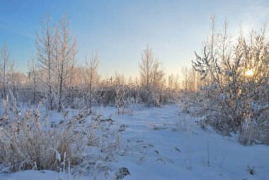 Akşamları Irtysh Nehri, Omsk Bölgesi, Sibirya, Rusya       