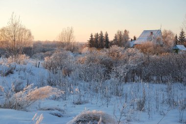 Sibirya Köyü, Omsk region, Rusya Federasyonu