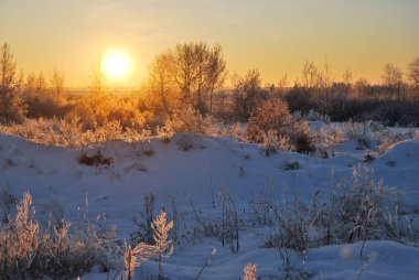 Akşamları Irtysh Nehri, Omsk Bölgesi, Sibirya, Rusya       