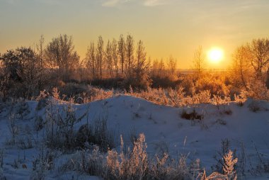 Akşamları Irtysh Nehri, Omsk Bölgesi, Sibirya, Rusya       