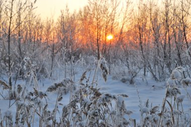 Akşamları Irtysh Nehri, Omsk Bölgesi, Sibirya, Rusya       