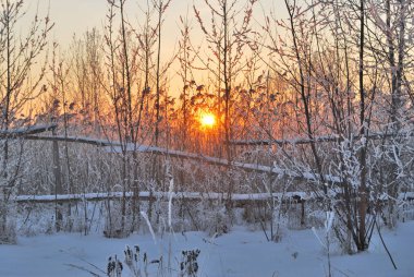 Akşamları Irtysh Nehri, Omsk Bölgesi, Sibirya, Rusya       