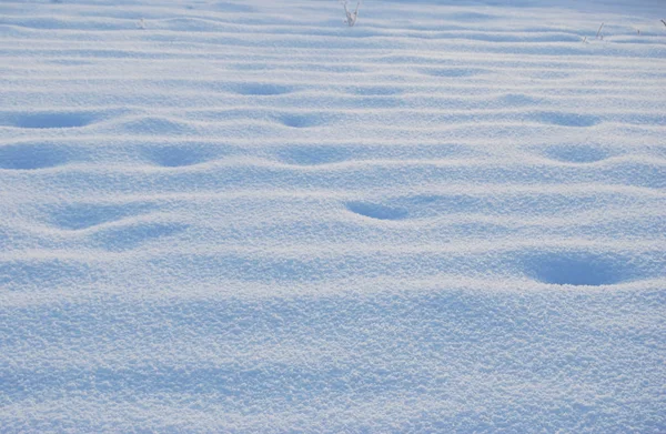 Winter Siberian city park in snowdrifts — Stock Photo, Image