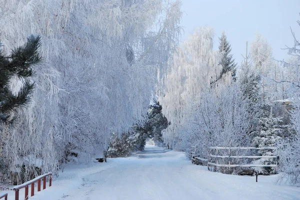 Sibirisches Dorf, Region Omsk, Russland — Stockfoto