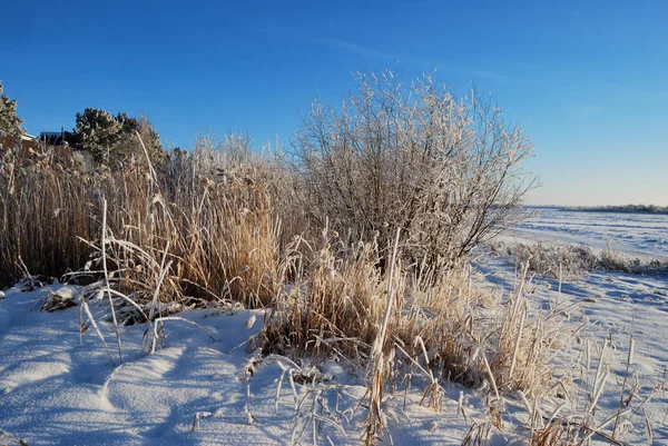 Akşamları Irtysh Nehri, Omsk Bölgesi, Sibirya, Rusya       