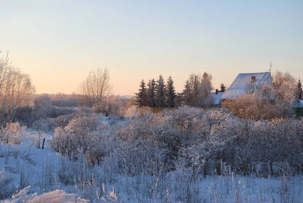 Сибирское село, Омская область, Россия — стоковое фото