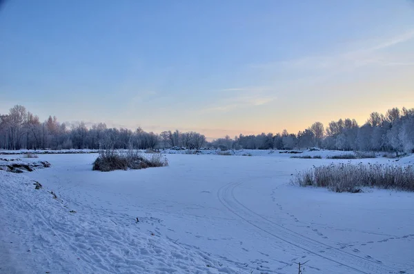 Trees covered with hoarfrost in the first rays of the sun — Stock Photo, Image