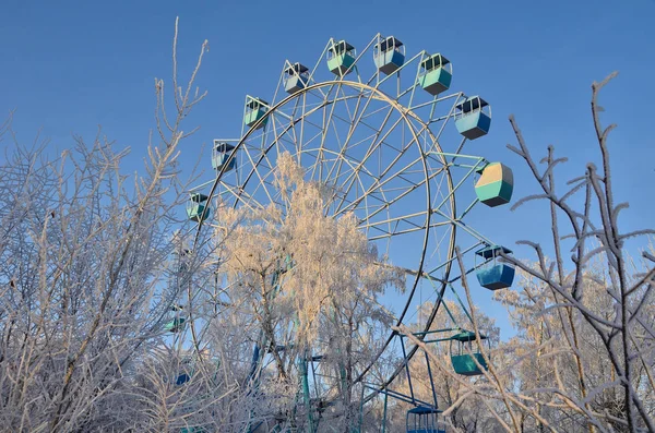 太陽の最初の光線で霜で覆われた木々 — ストック写真