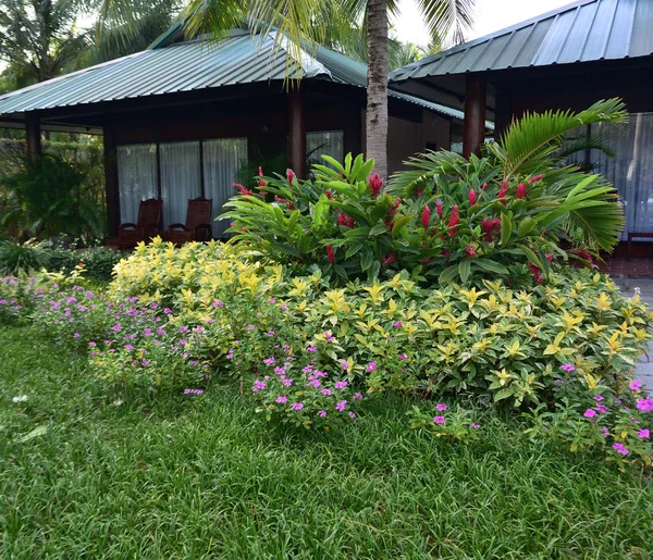 Bungalow dans le jardin tropical — Photo