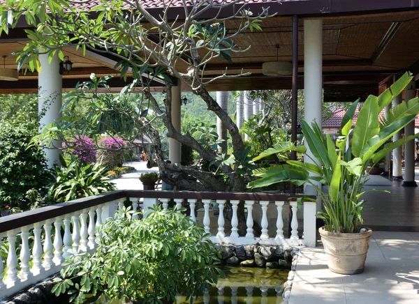 Bungalow in the tropical garden — Stock Photo, Image