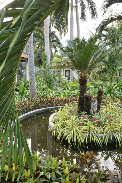 Bungalow i den tropiska trädgården — Stockfoto